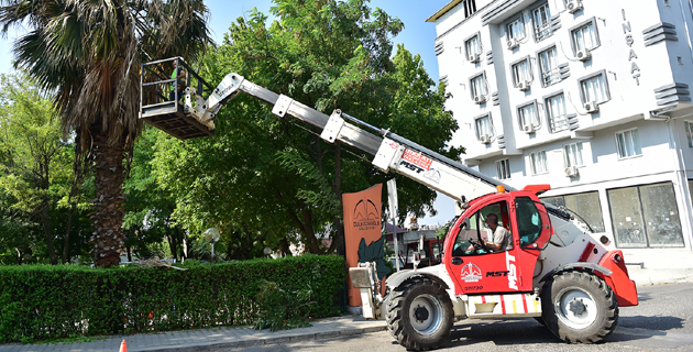 DULKADİROĞLU’NDA PARK VE BAHÇE BAKIMLARI YAPILIYOR