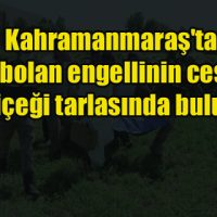 Kahramanmaraş’ta kaybolan engellinin cesedi ayçiçeği tarlasında bulundu