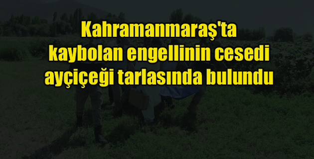 Kahramanmaraş’ta kaybolan engellinin cesedi ayçiçeği tarlasında bulundu