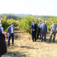 Ksü’de Nar Nar Günü Etkinliği