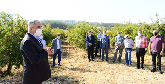 Ksü’de Nar Nar Günü Etkinliği