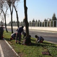 Kahramanmaraş’ta Kavşaklar Çiçek Açtı