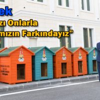 Mahçiçek, “Dünyamızı Onlarla Paylaştığımızın Farkındayız”