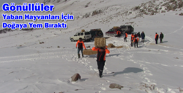 Gönüllüler Yaban Hayvanları İçin Doğaya Yem Bıraktı