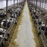 Kahramanmaraş Besi OSB Kuruluş Protokolü Onaylandı