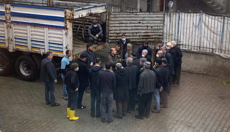TÜRKOĞLU’NDA CEVİZ FİDANI DAĞITIMI GERÇEKLEŞTİRİLDİ