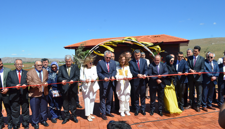 Türkiye’nin ilk arı evi Kahramanmaraş’ta açıldı