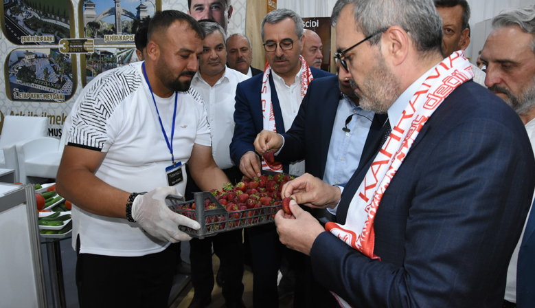 TANITIM GÜNLERİNİN EN İLGİ ODAĞI ‘TÜRKOĞLU’NUN YAYLA ÇİLEKLERİ OLDU’