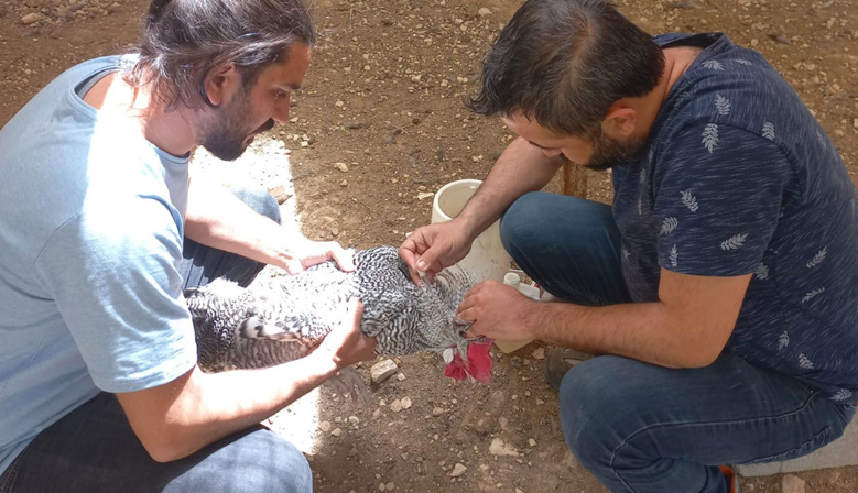 DULKADİROĞLU MİNİ HAYVANAT BAHÇESİNDE BAKIM ÇALIŞMASI YAPILDI