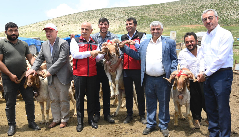 Kahramanmaraş’ta Çiftçilere 341 Milyon TL’lik Destek