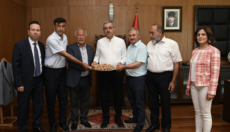 Çağlayancerit Cevizi Artık Dünya Markası