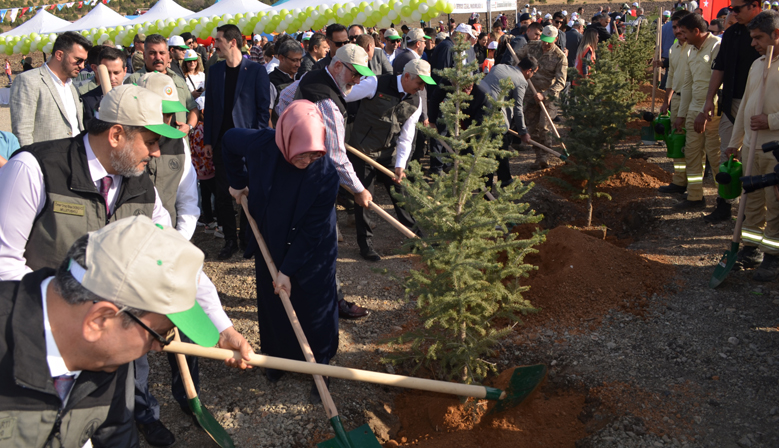 Milli Ağaçlandırma Günü’nde deprem şehitleri adına fidan dikildi