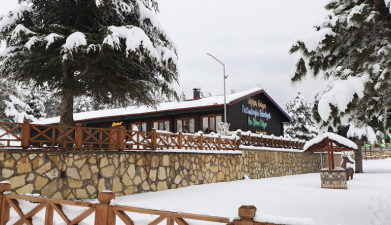 YALNIZ ARDIÇ BUNGALOV EVLER MİSAFİRLERİNİ BEKLİYOR