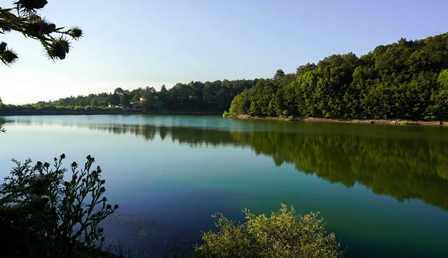 Su ve Orman: Doğanın, Refahın ve Eşitliğin Temel Taşları