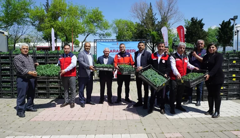 Kahramanmaraş’ta Üreticiye 650 Bin Hibe Biber Fidesi